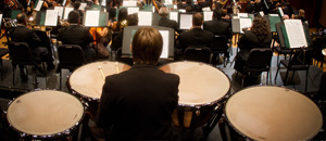 Percusiones y arpa